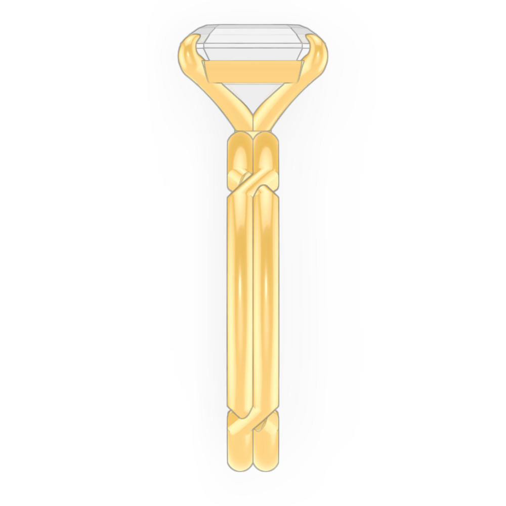 signature-ring
