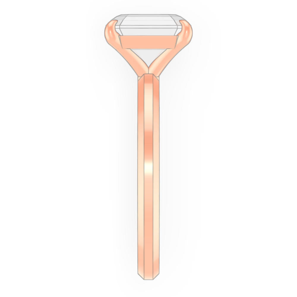 signature-ring