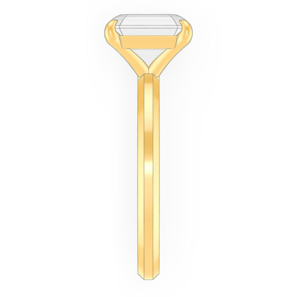signature-ring