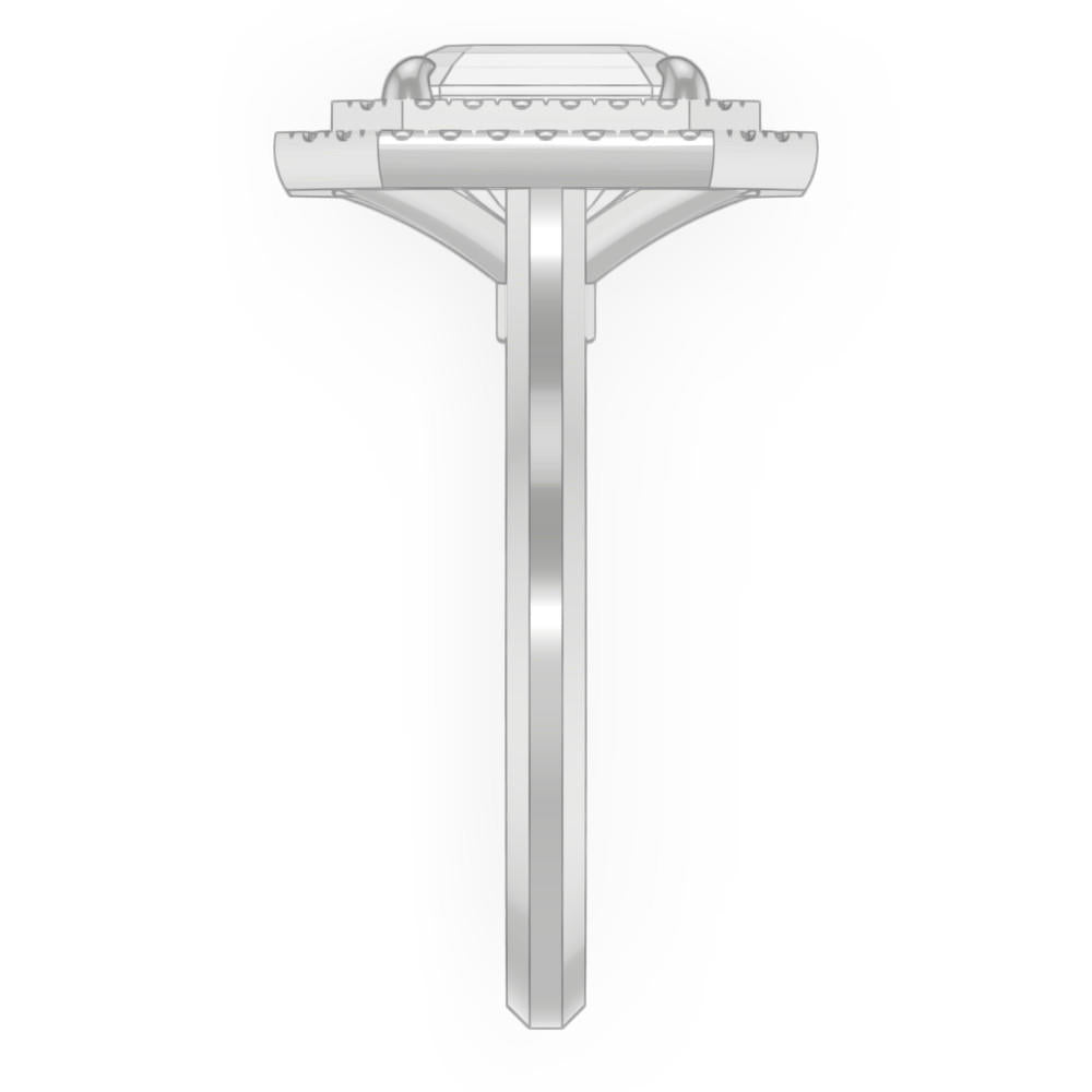 signature-ring