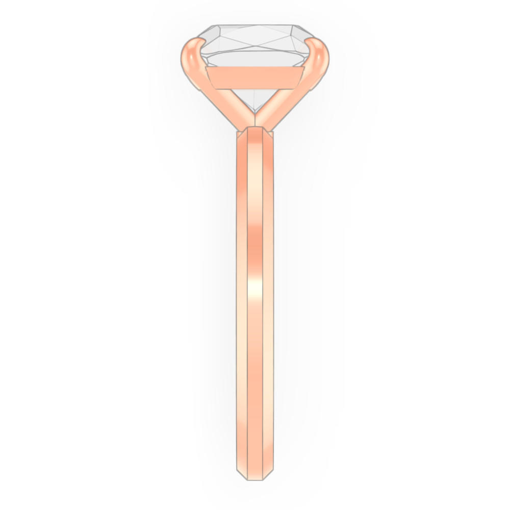 signature-ring
