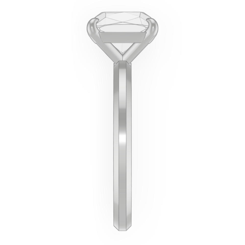 signature-ring