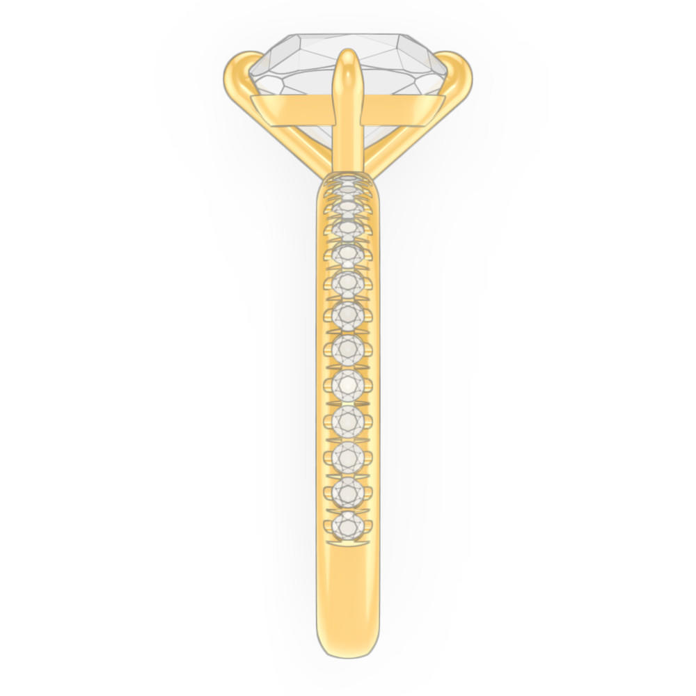 signature-ring