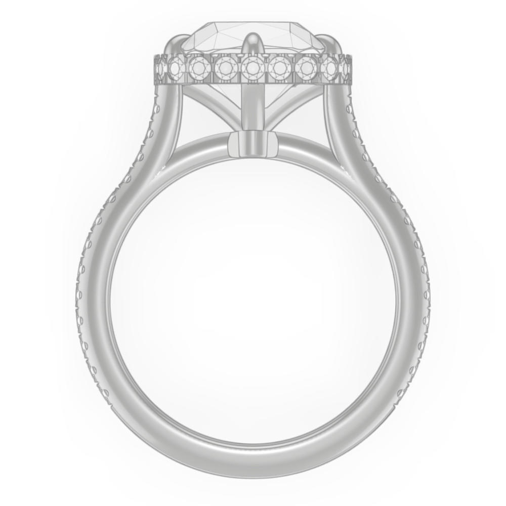 signature-ring