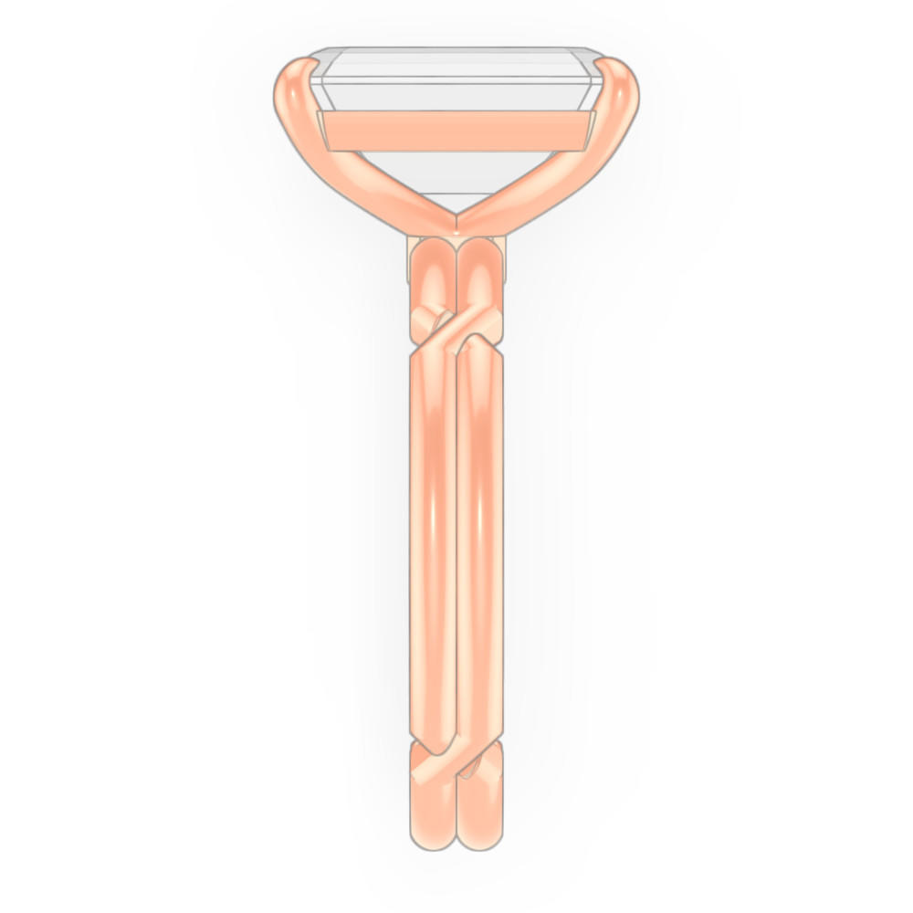 signature-ring