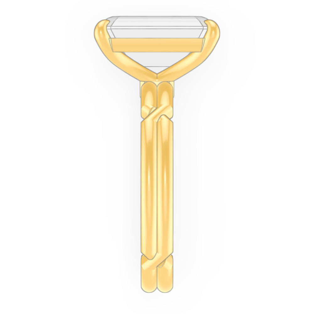 signature-ring