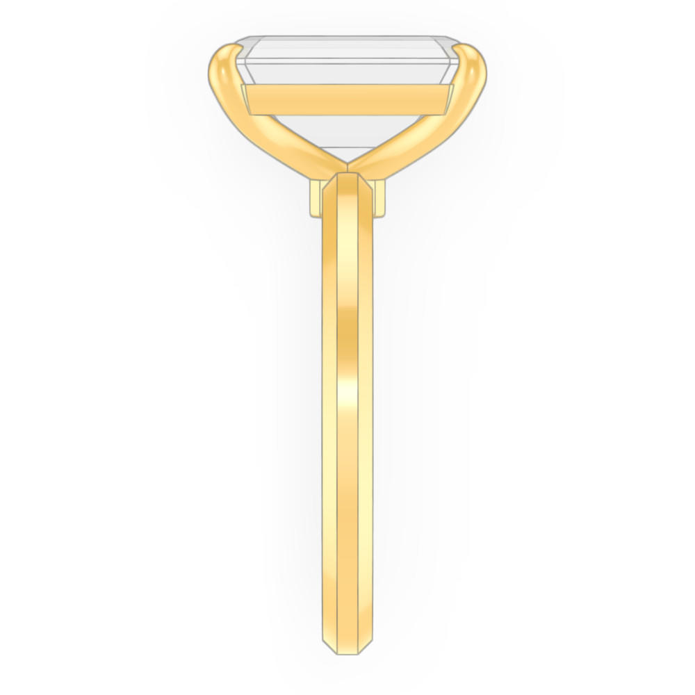 signature-ring