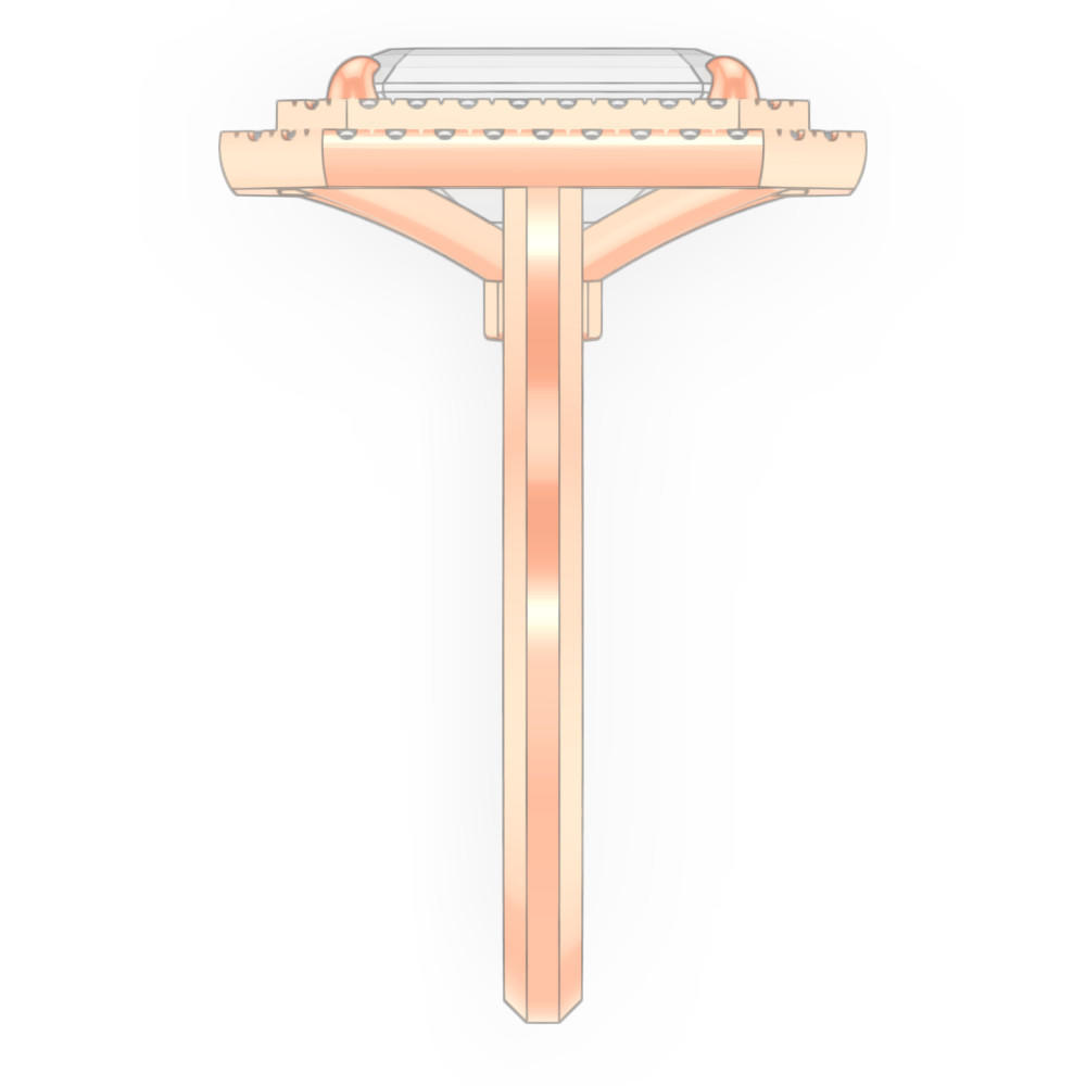 signature-ring