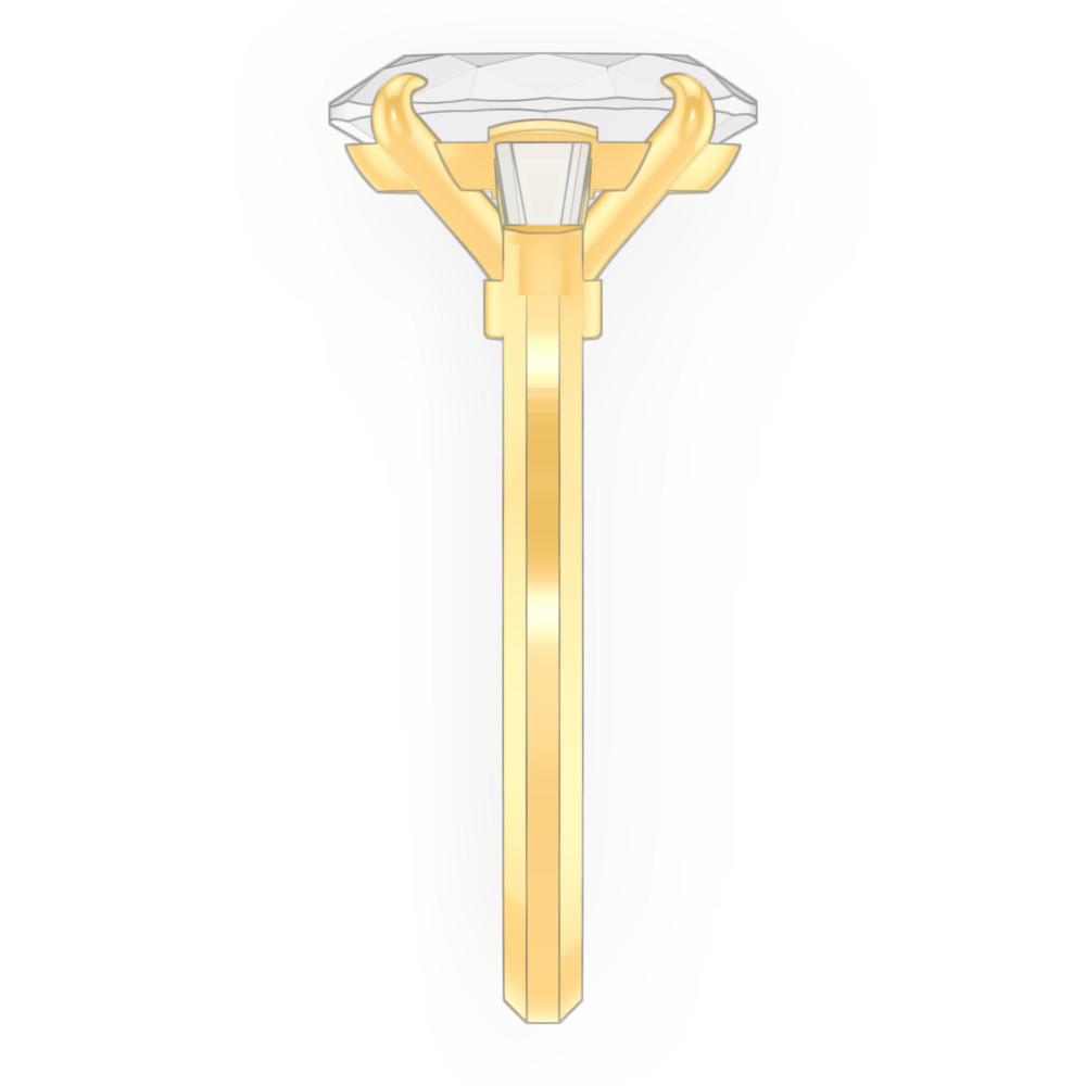 signature-ring