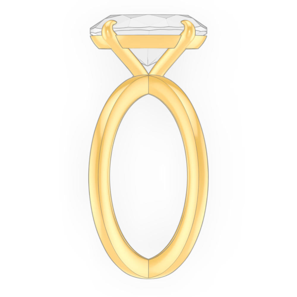 signature-ring