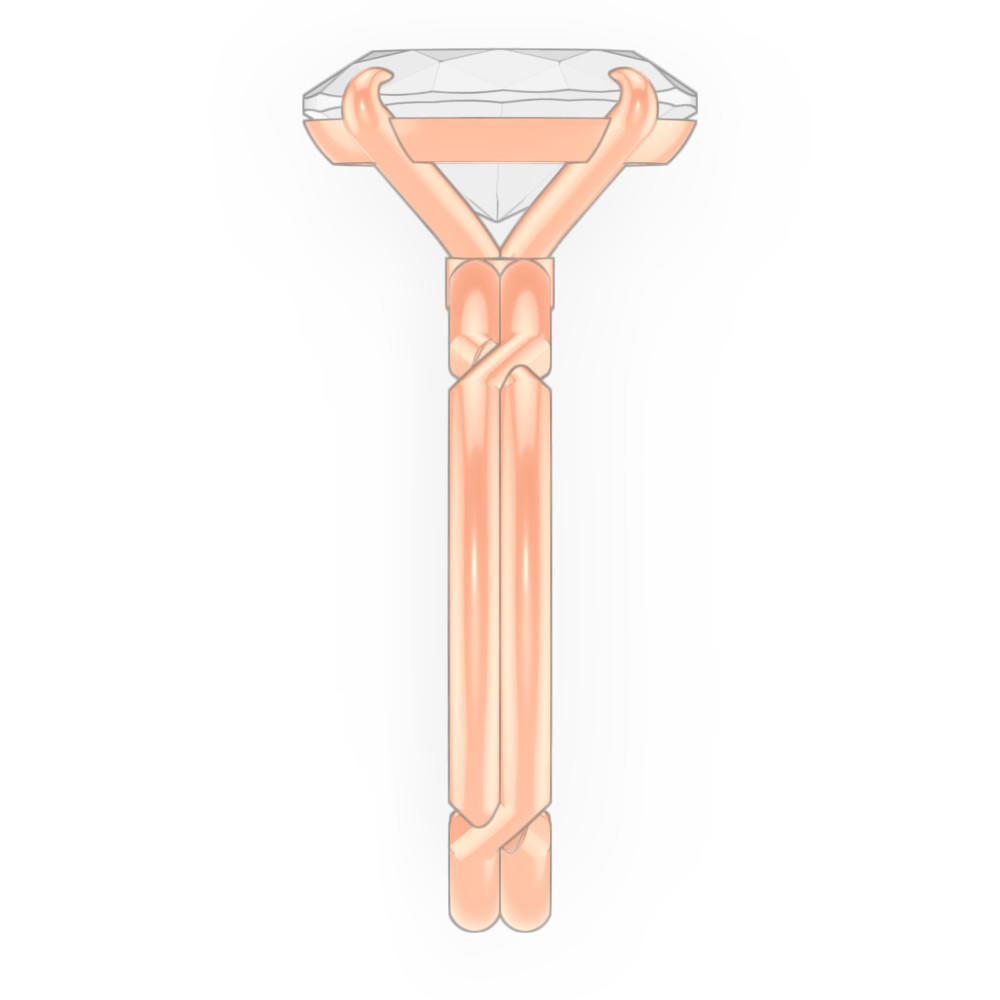 signature-ring