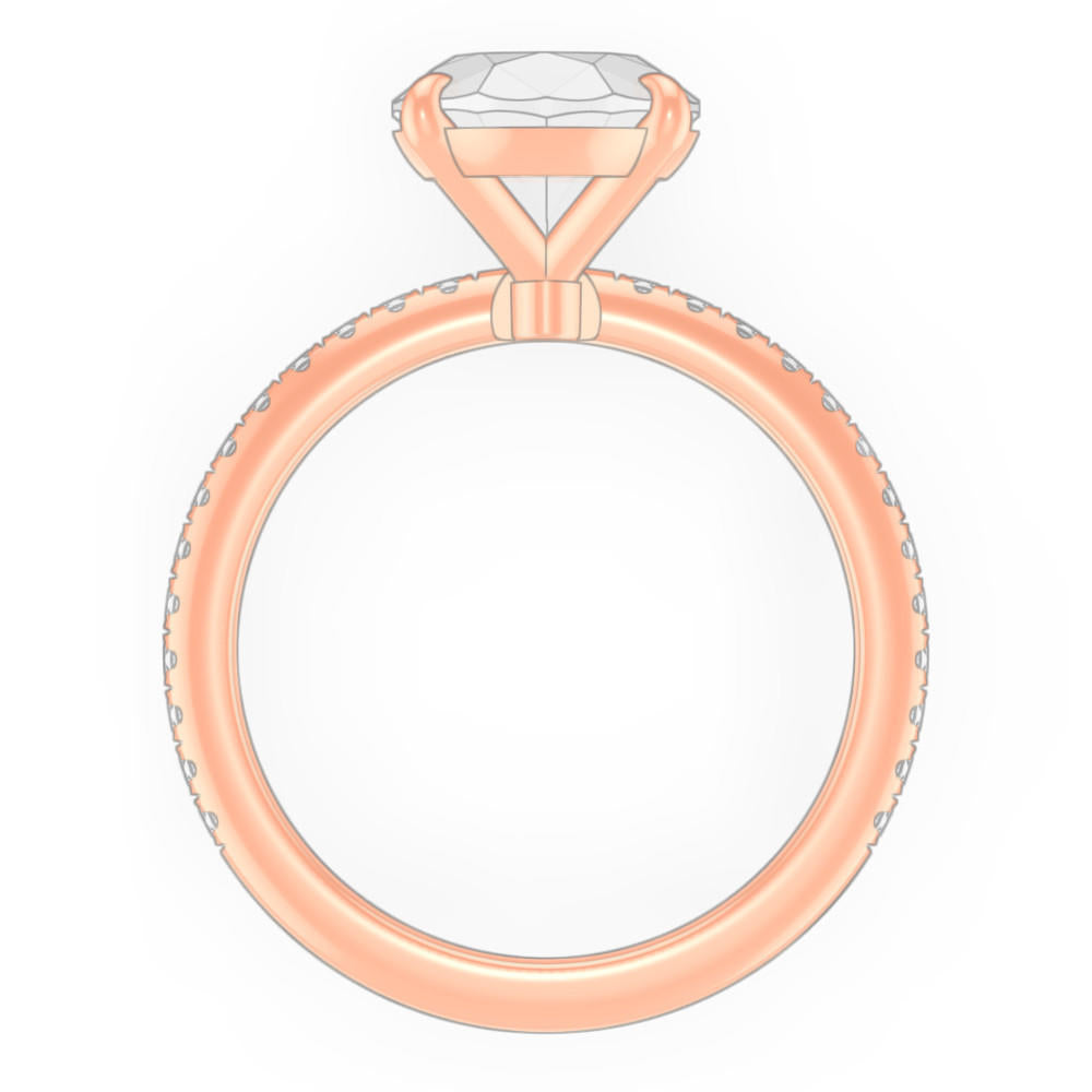 signature-ring