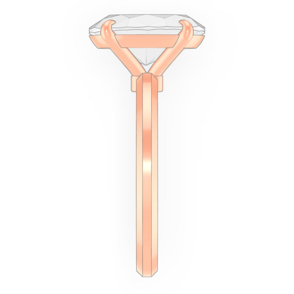 signature-ring
