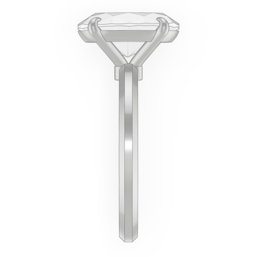 signature-ring