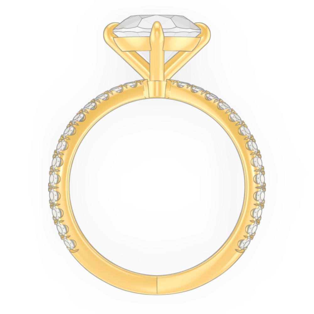 signature-ring