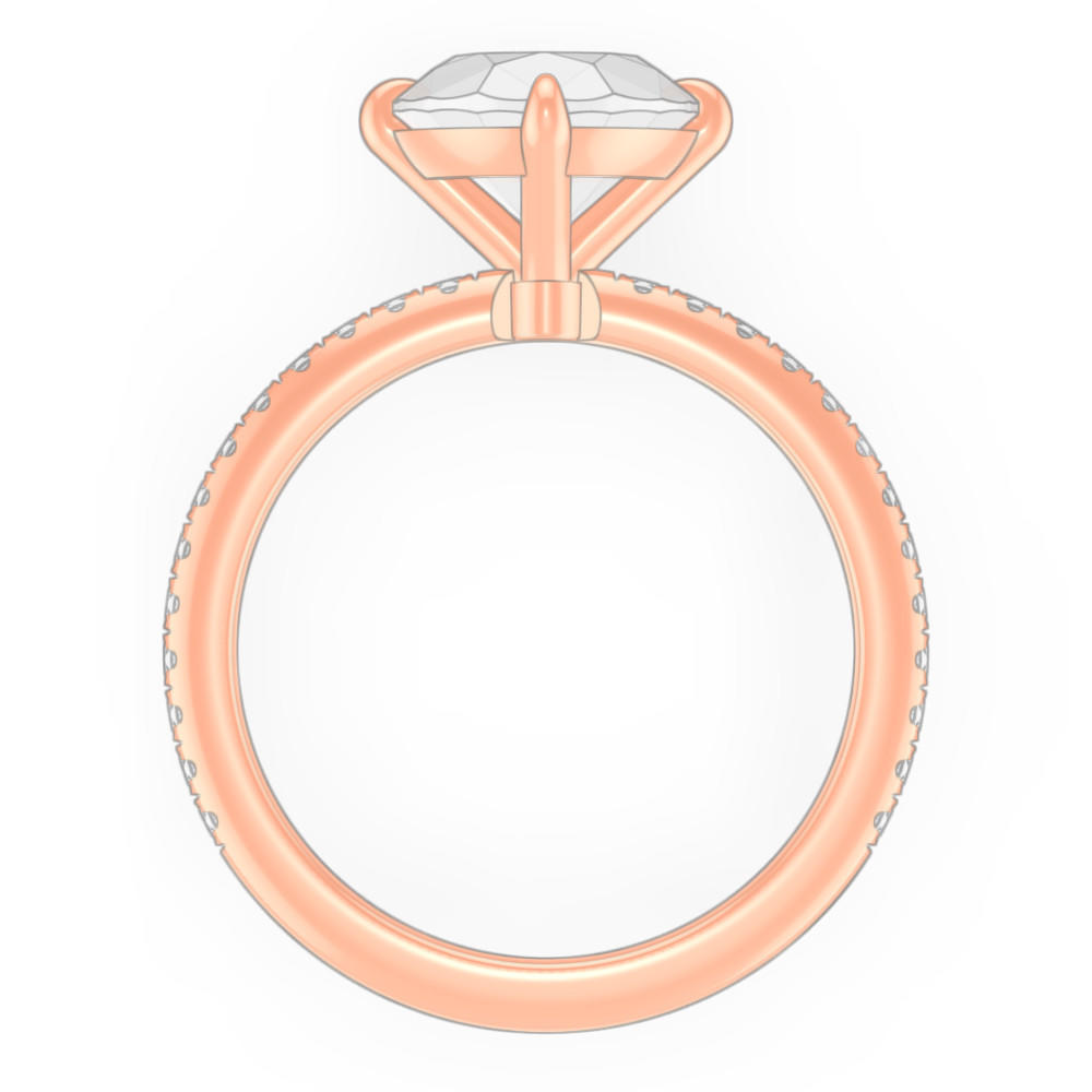 signature-ring