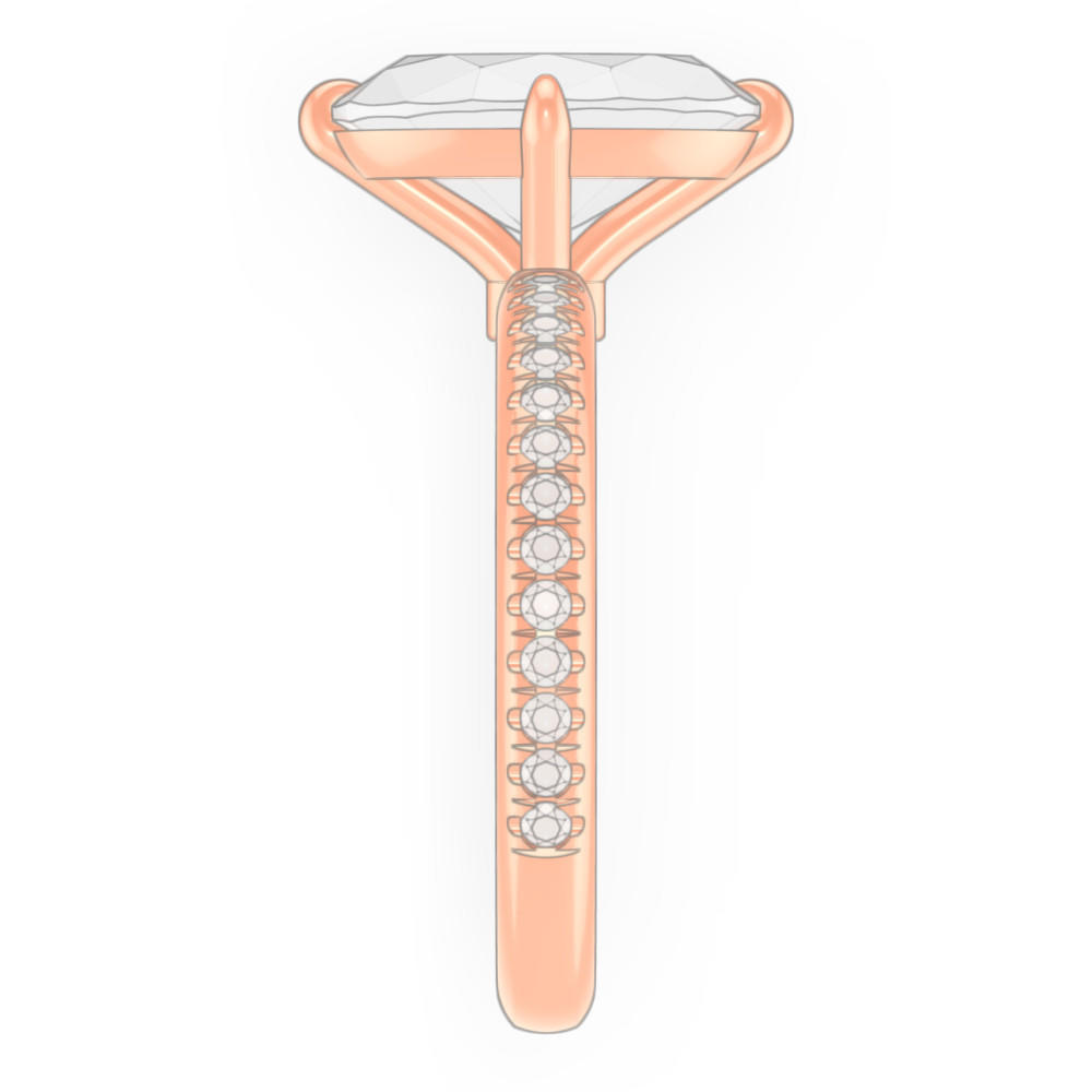 signature-ring