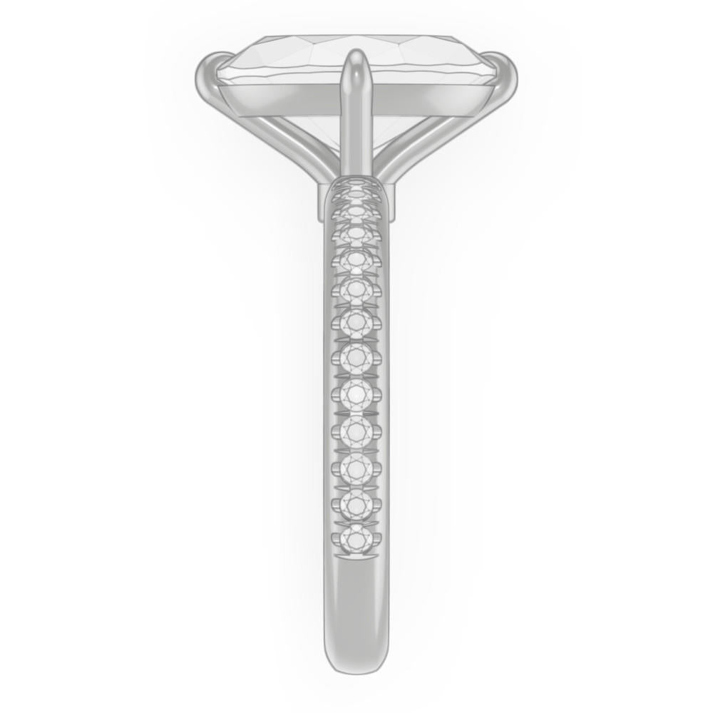 signature-ring