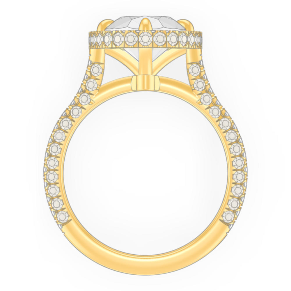 signature-ring