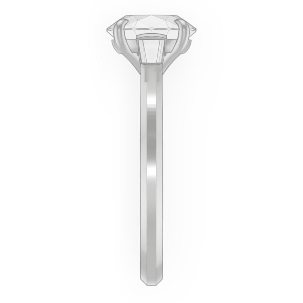 signature-ring