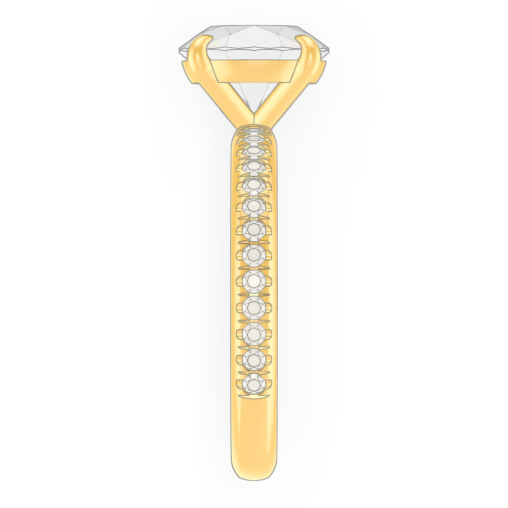 signature-ring