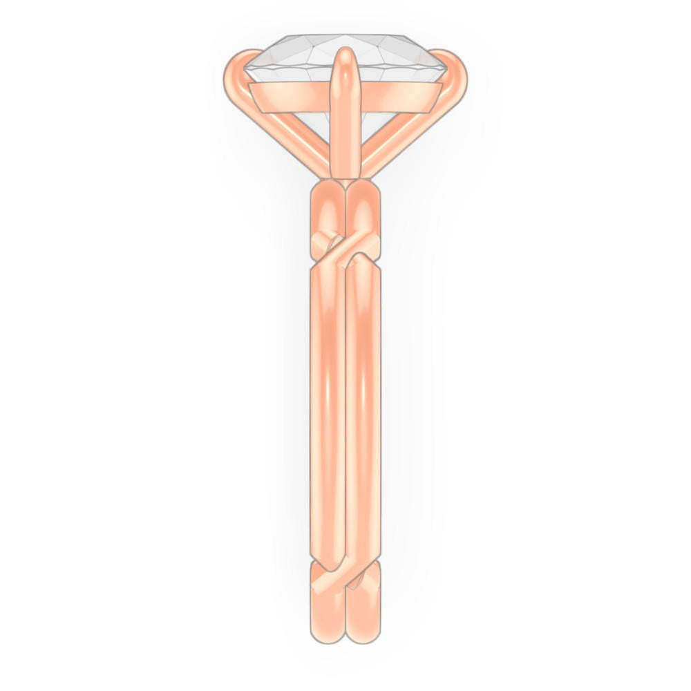 signature-ring