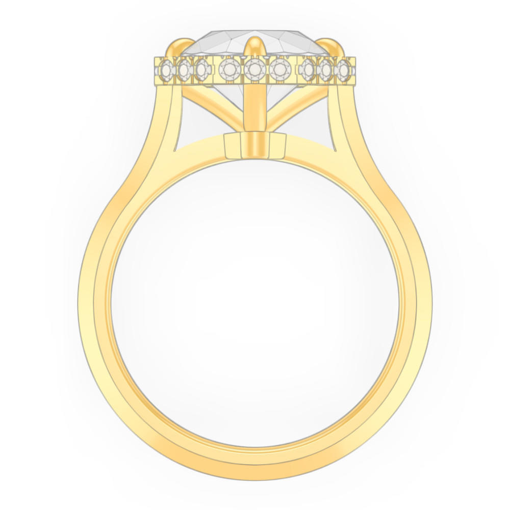 signature-ring