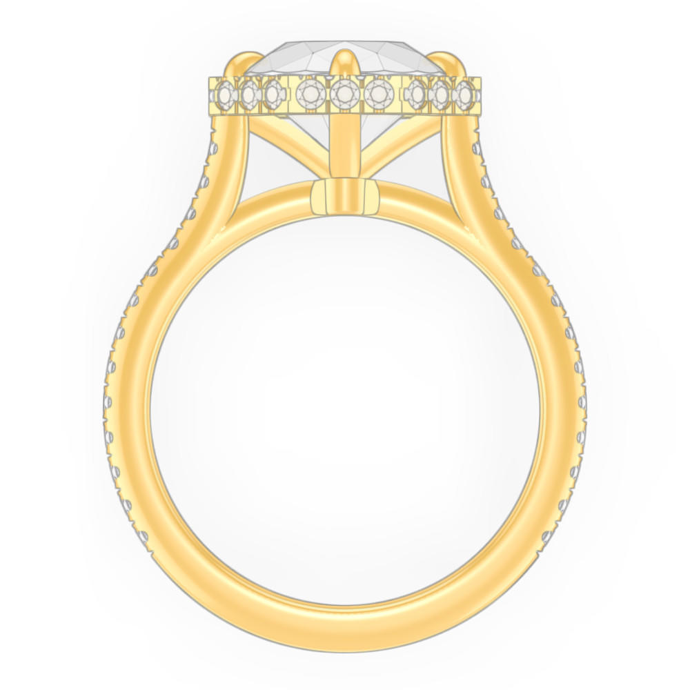 signature-ring