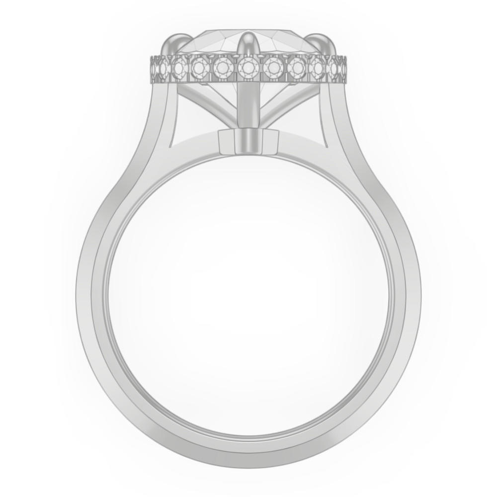 signature-ring