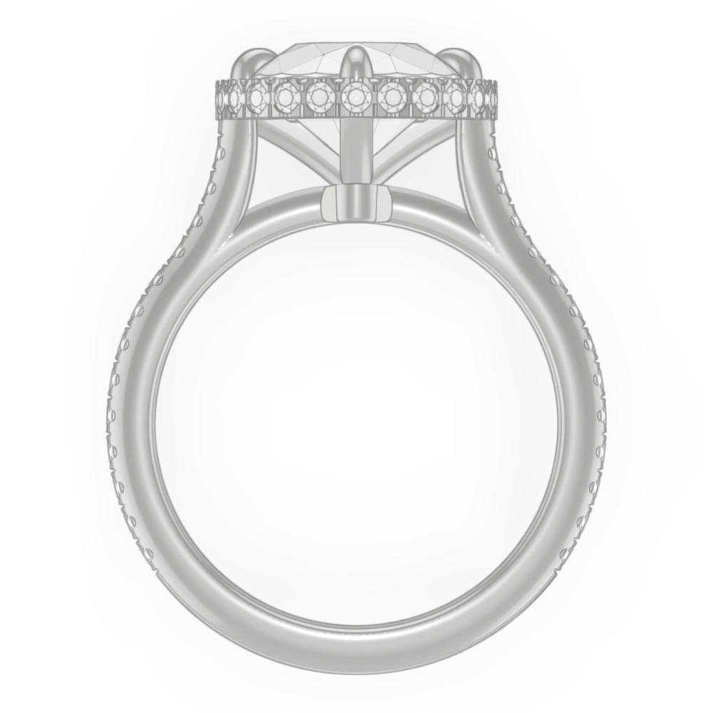 signature-ring