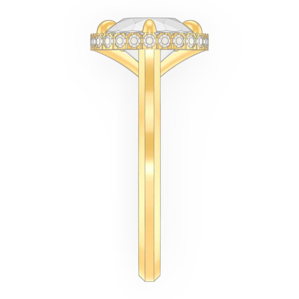 signature-ring