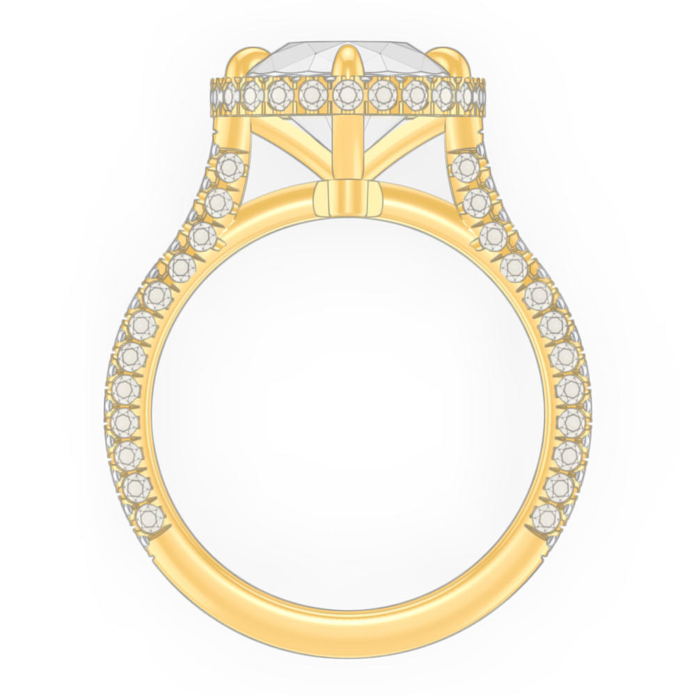signature-ring