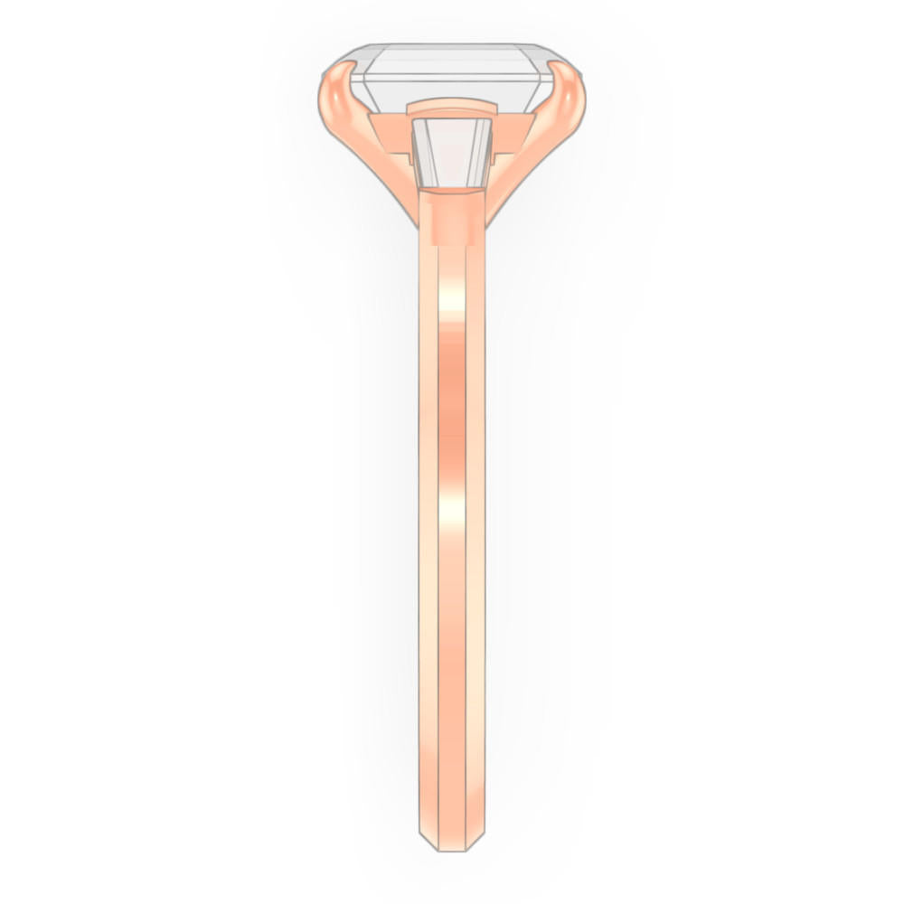 signature-ring