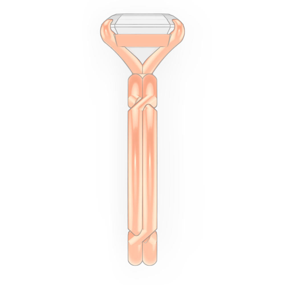signature-ring
