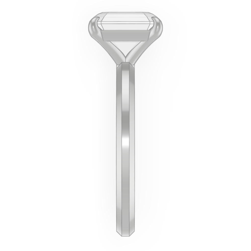 signature-ring