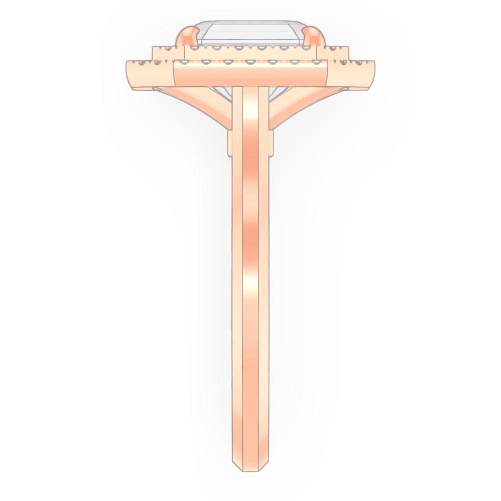 signature-ring
