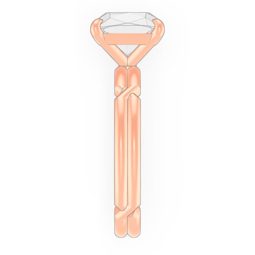 signature-ring