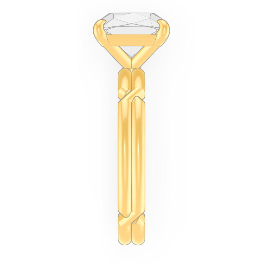 signature-ring