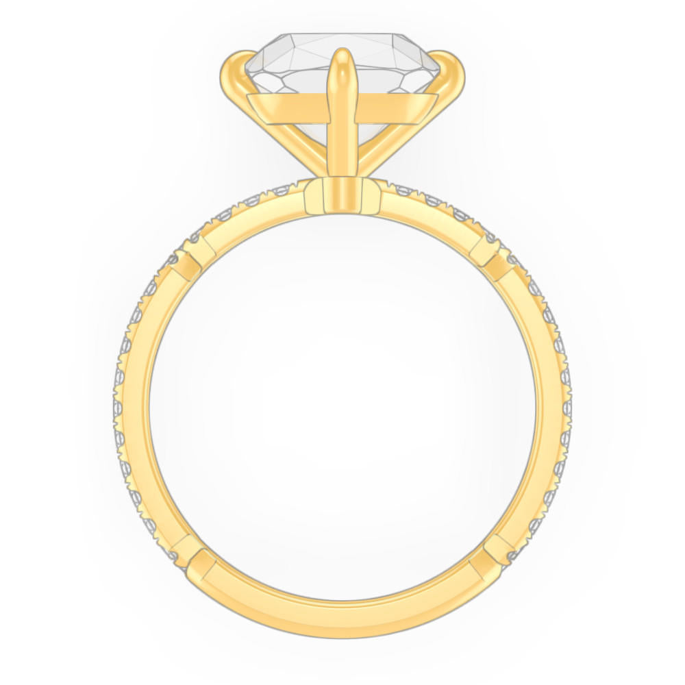 signature-ring