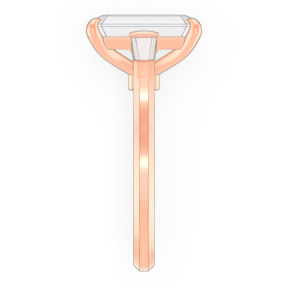 signature-ring