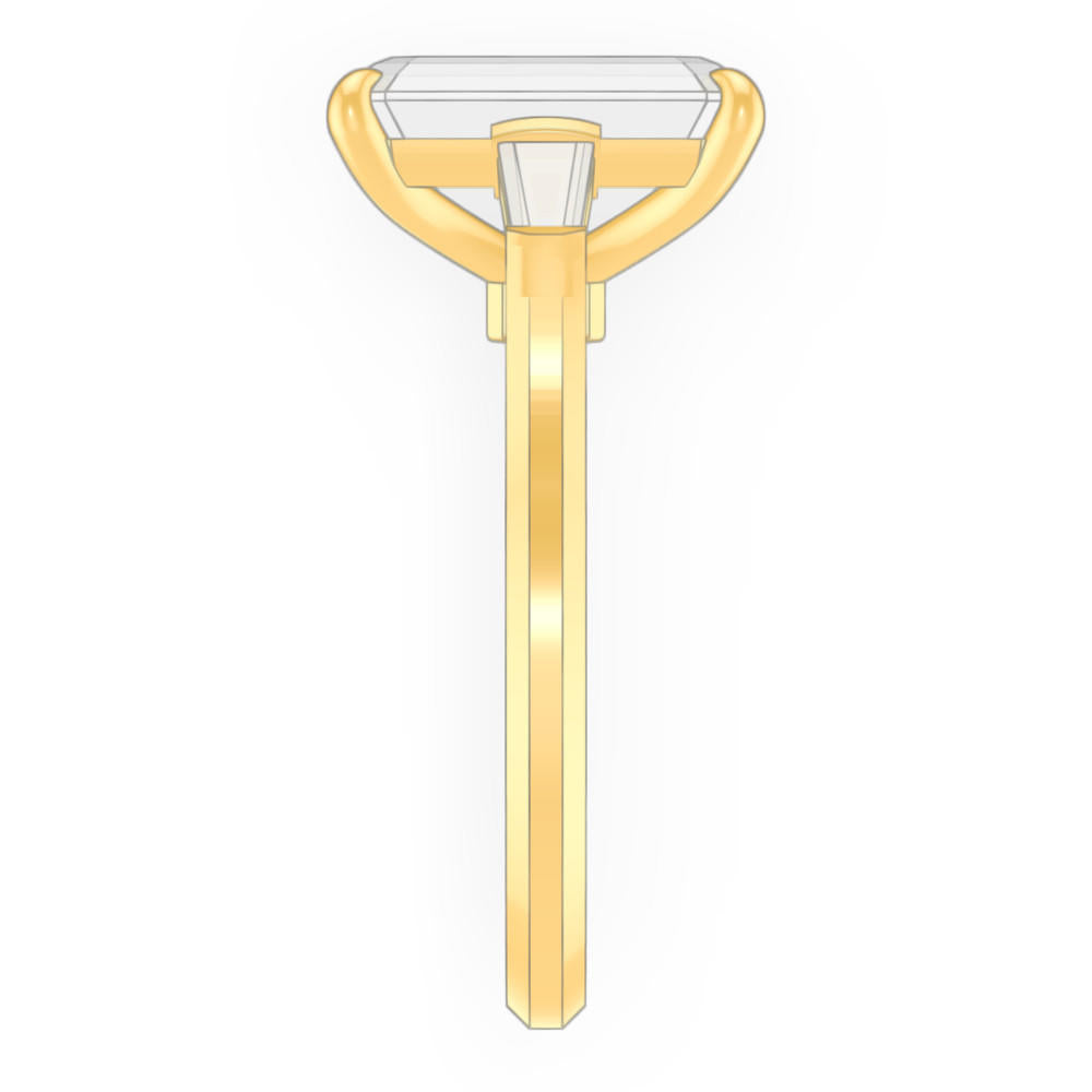 signature-ring
