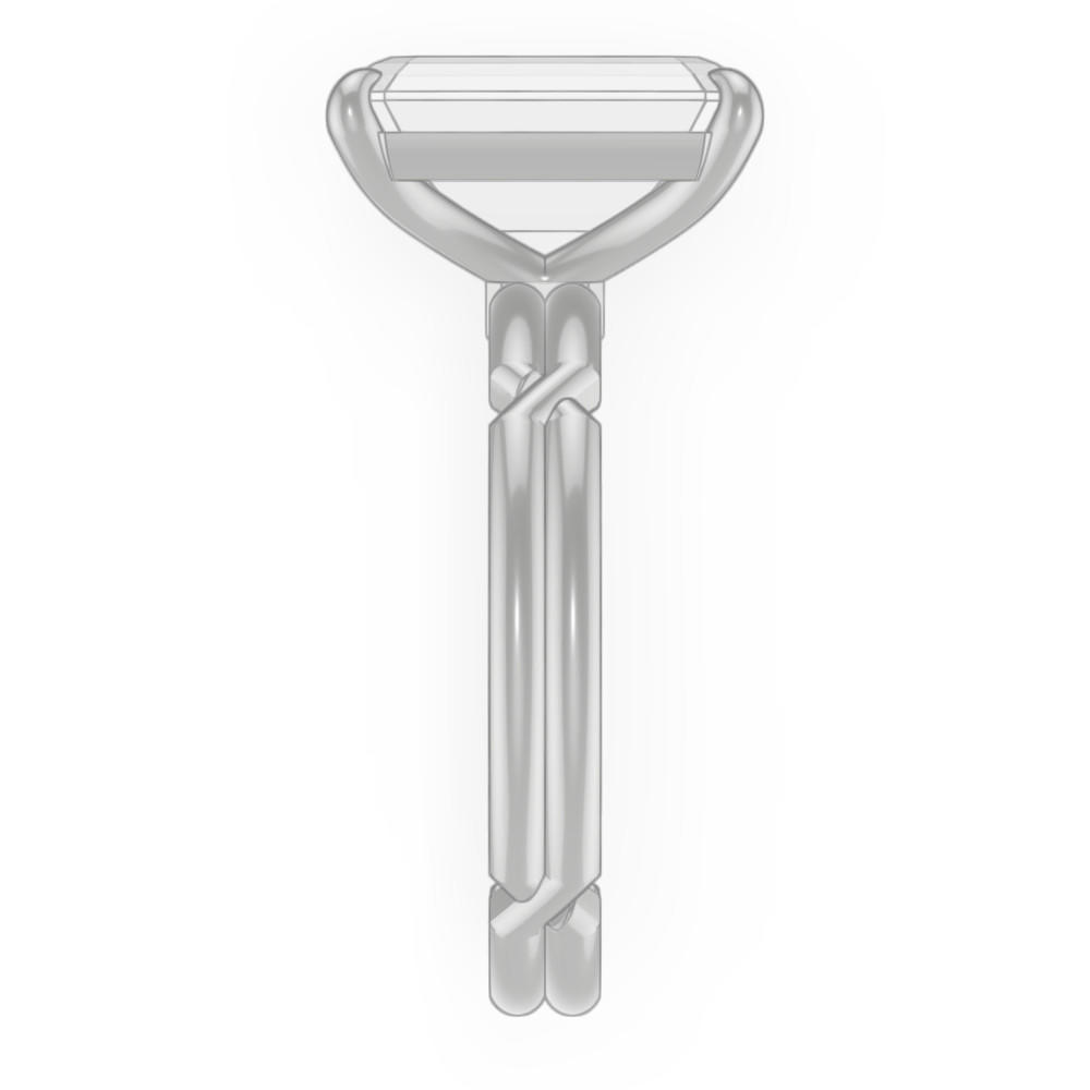 signature-ring