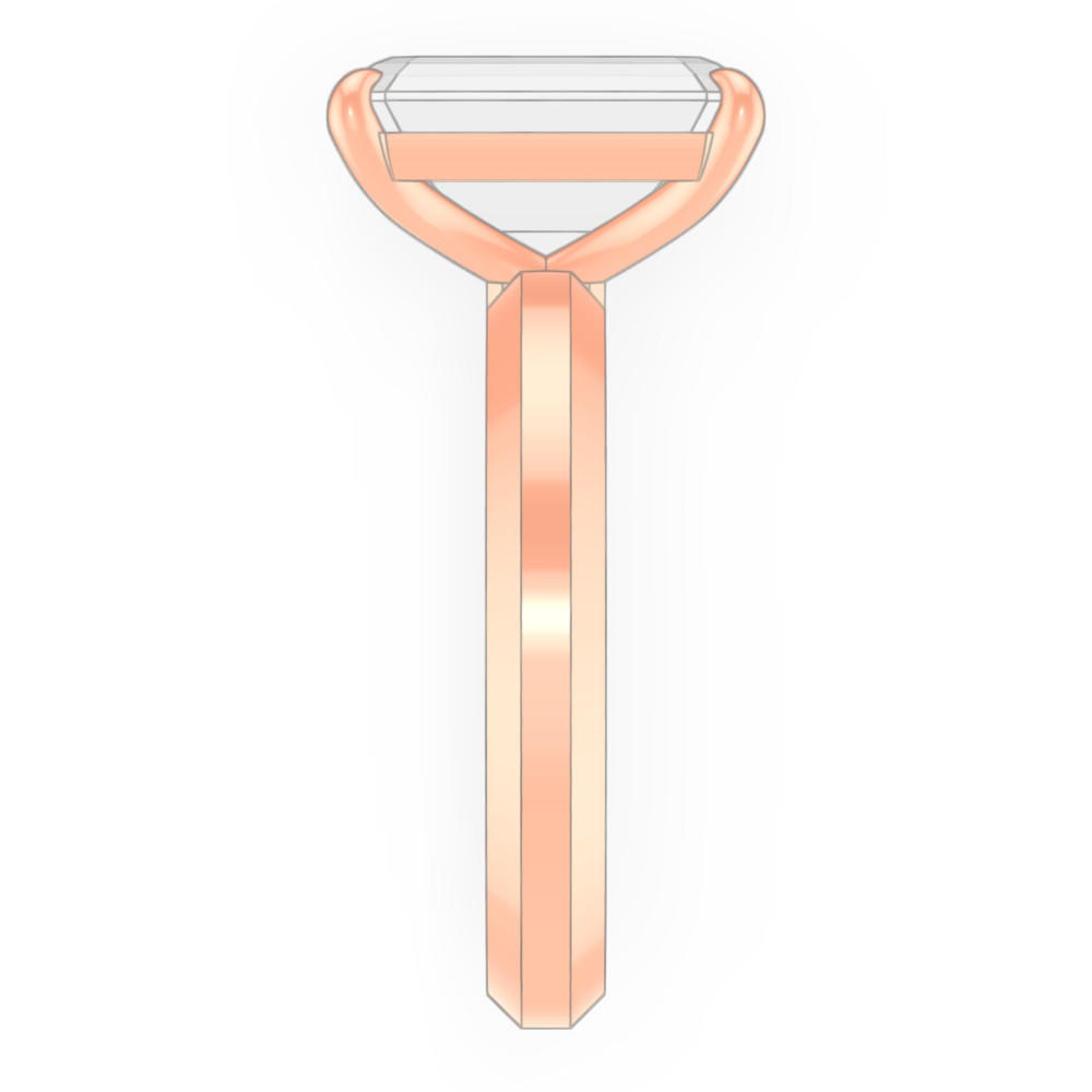 signature-ring