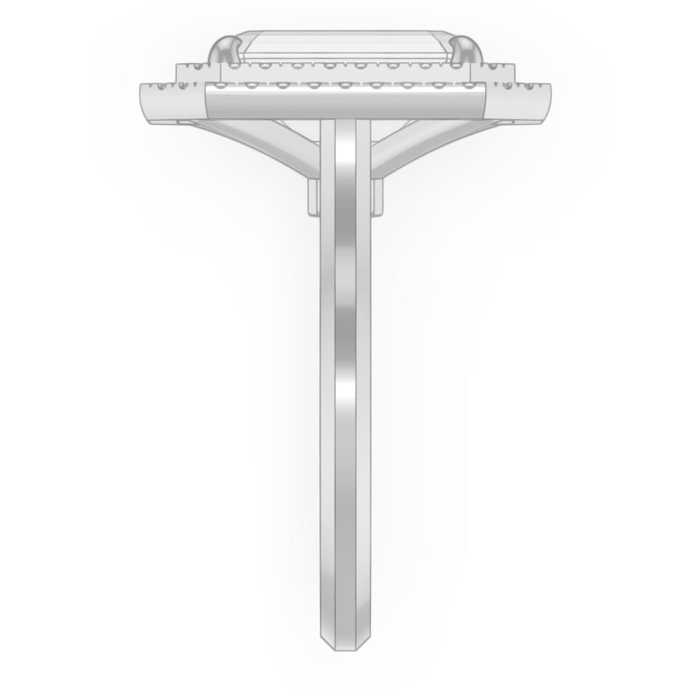 signature-ring