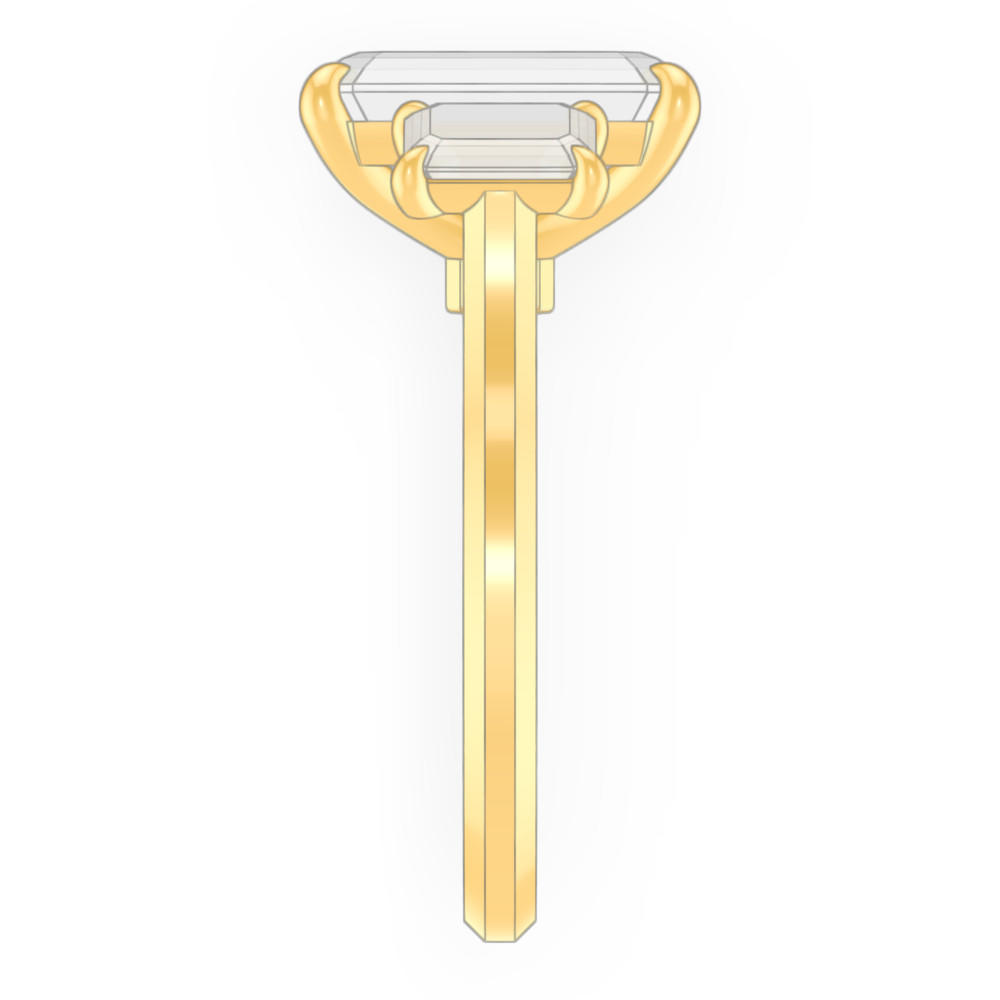 signature-ring