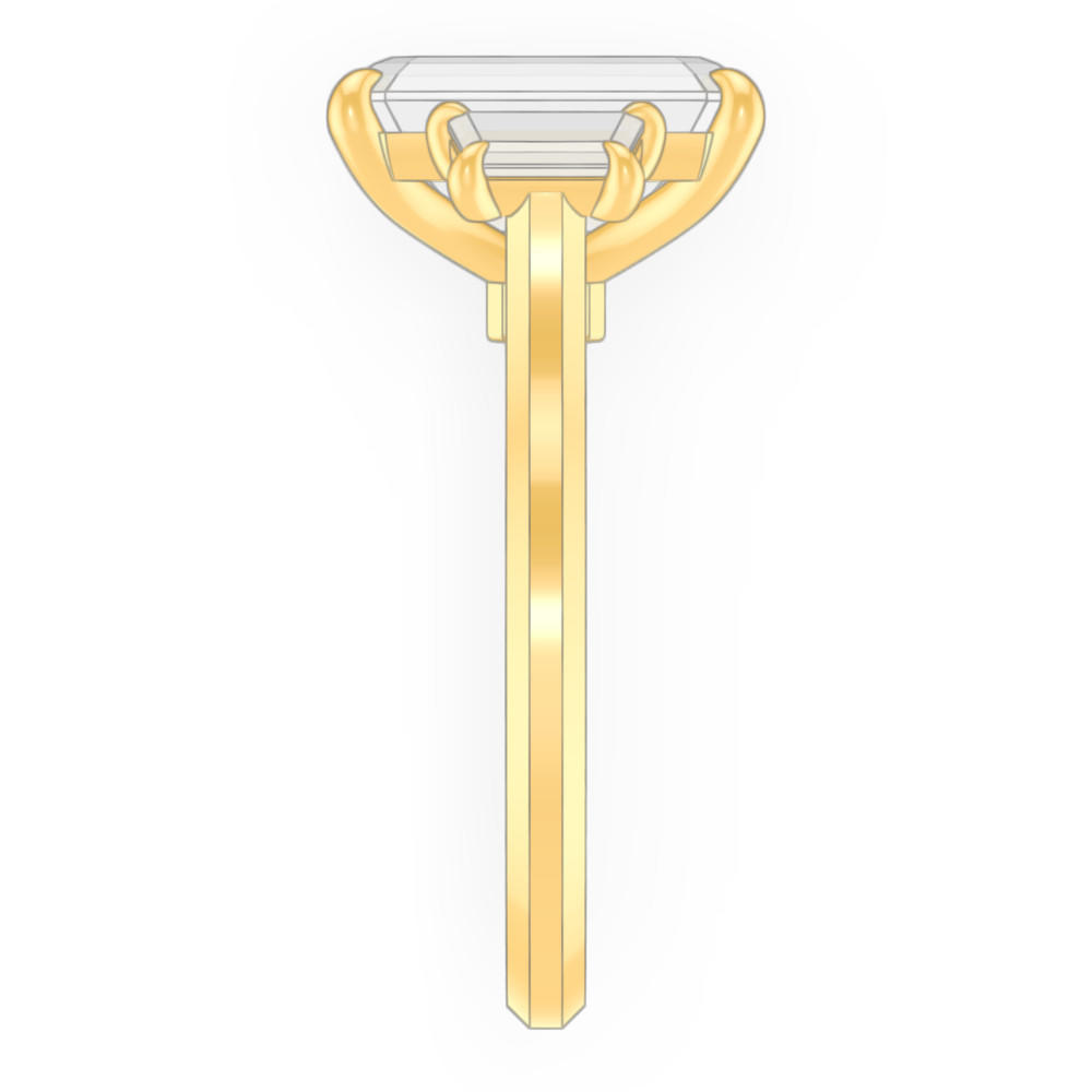 signature-ring