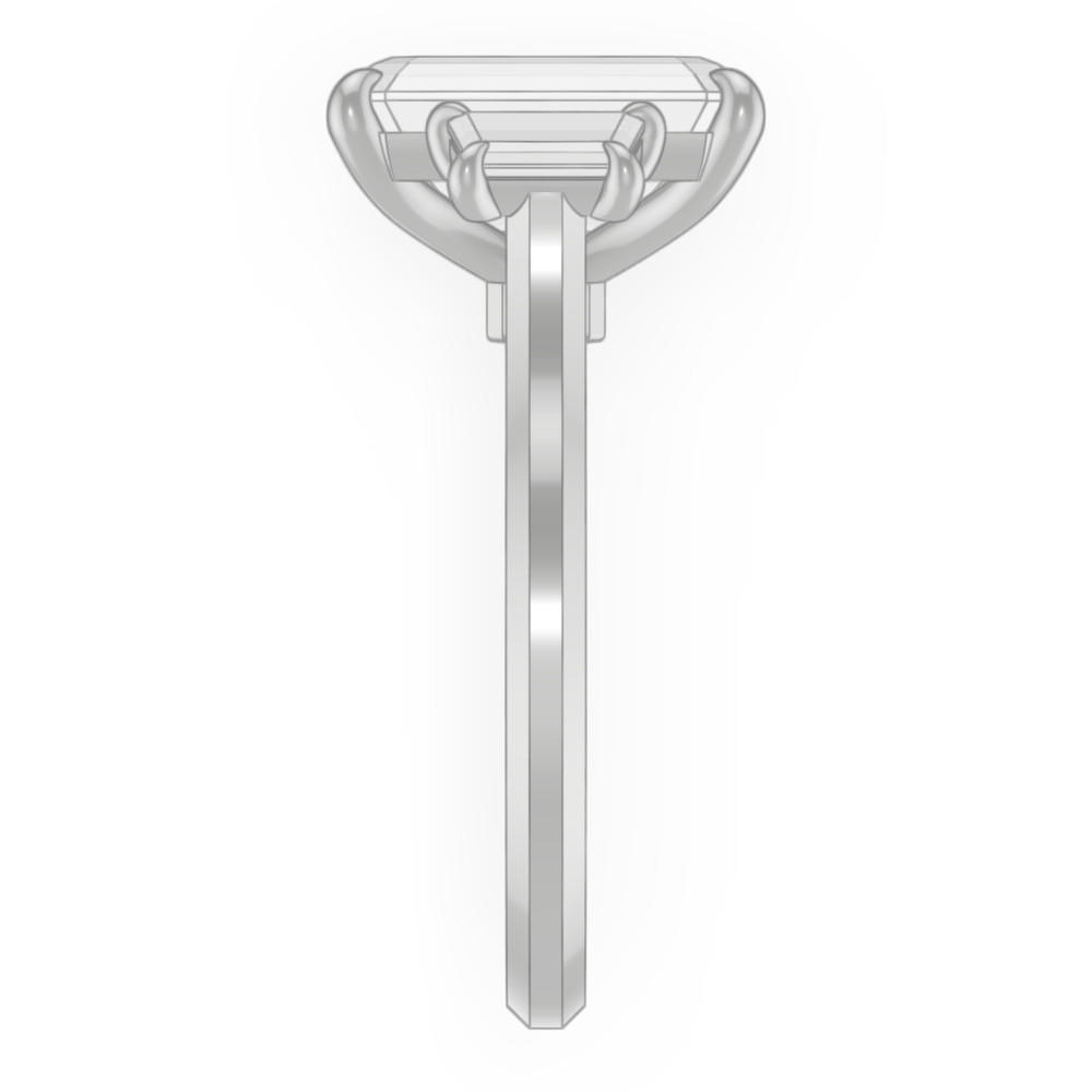 signature-ring
