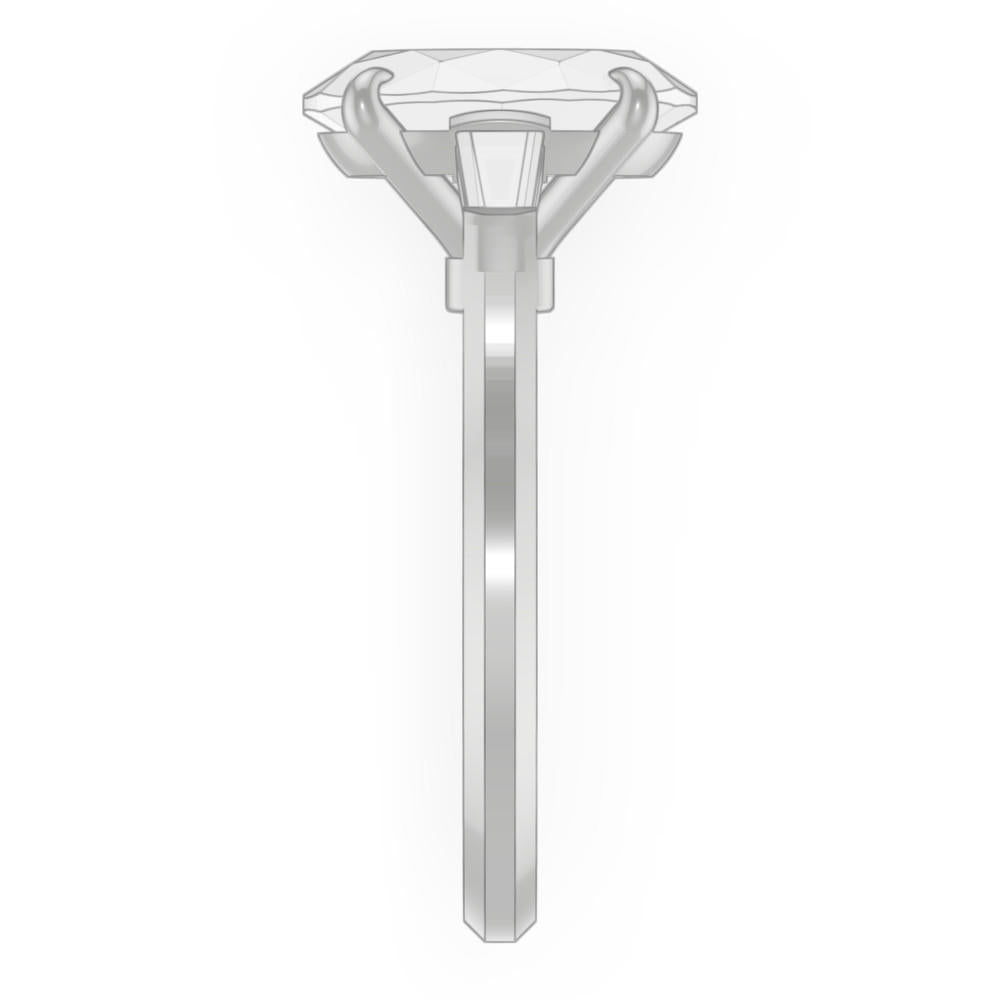 signature-ring
