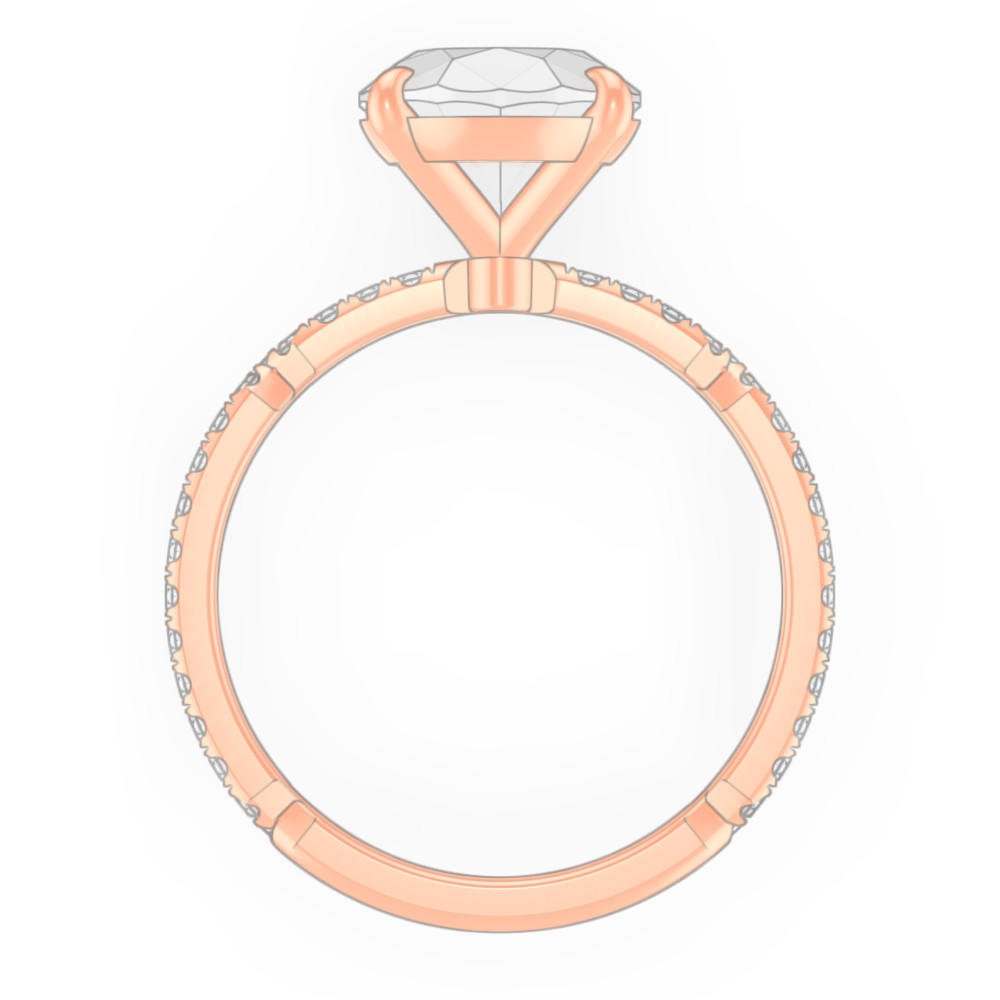 signature-ring