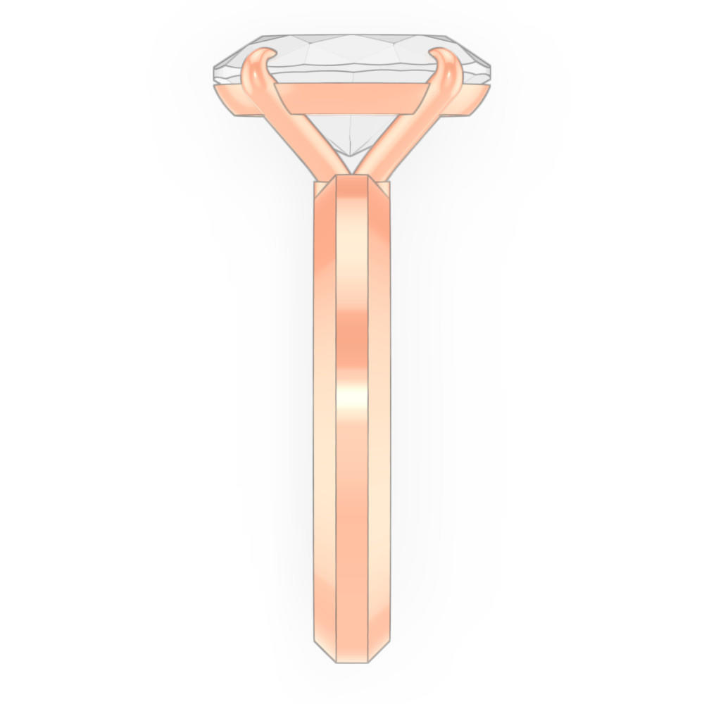 signature-ring